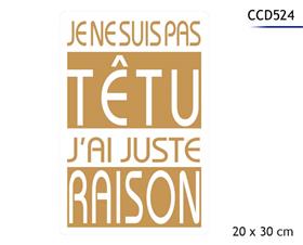 PLAQUE METAL 20X30CM*