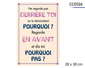 PLAQUE METAL 20X30CM*