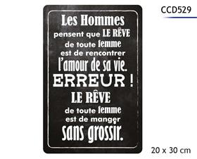 PLAQUE METAL 20X30CM*
