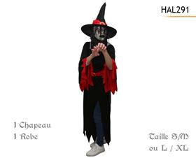 COSTUME ADULTE SORCIERE