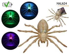 SQUELETTE ARAIGNEE LUMI 22X15