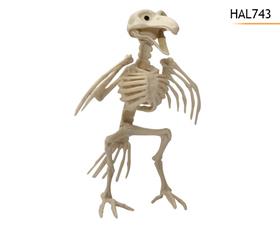 SQUELETTE OISEAU 12X14CM*
